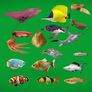 Marine Animals Pack