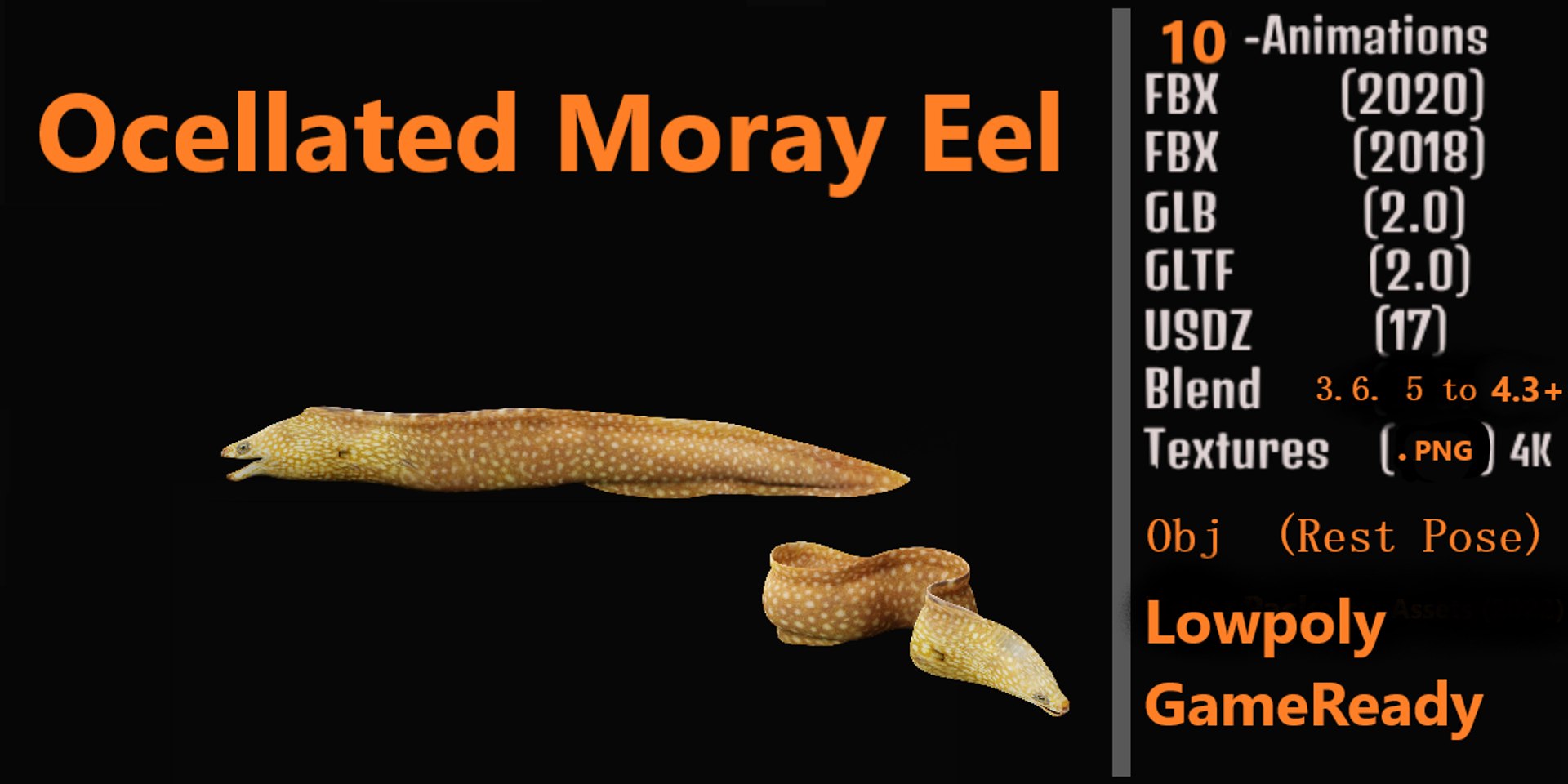 3D Marine Animals Pack https://p.turbosquid.com/ts-thumb/2r/iWFIce/kK/ocellatedmorayeel/png/1741357424/1920x1080/fit_q87/27a09942cc405c16faf4181dff1da80396eefffa/ocellatedmorayeel.jpg