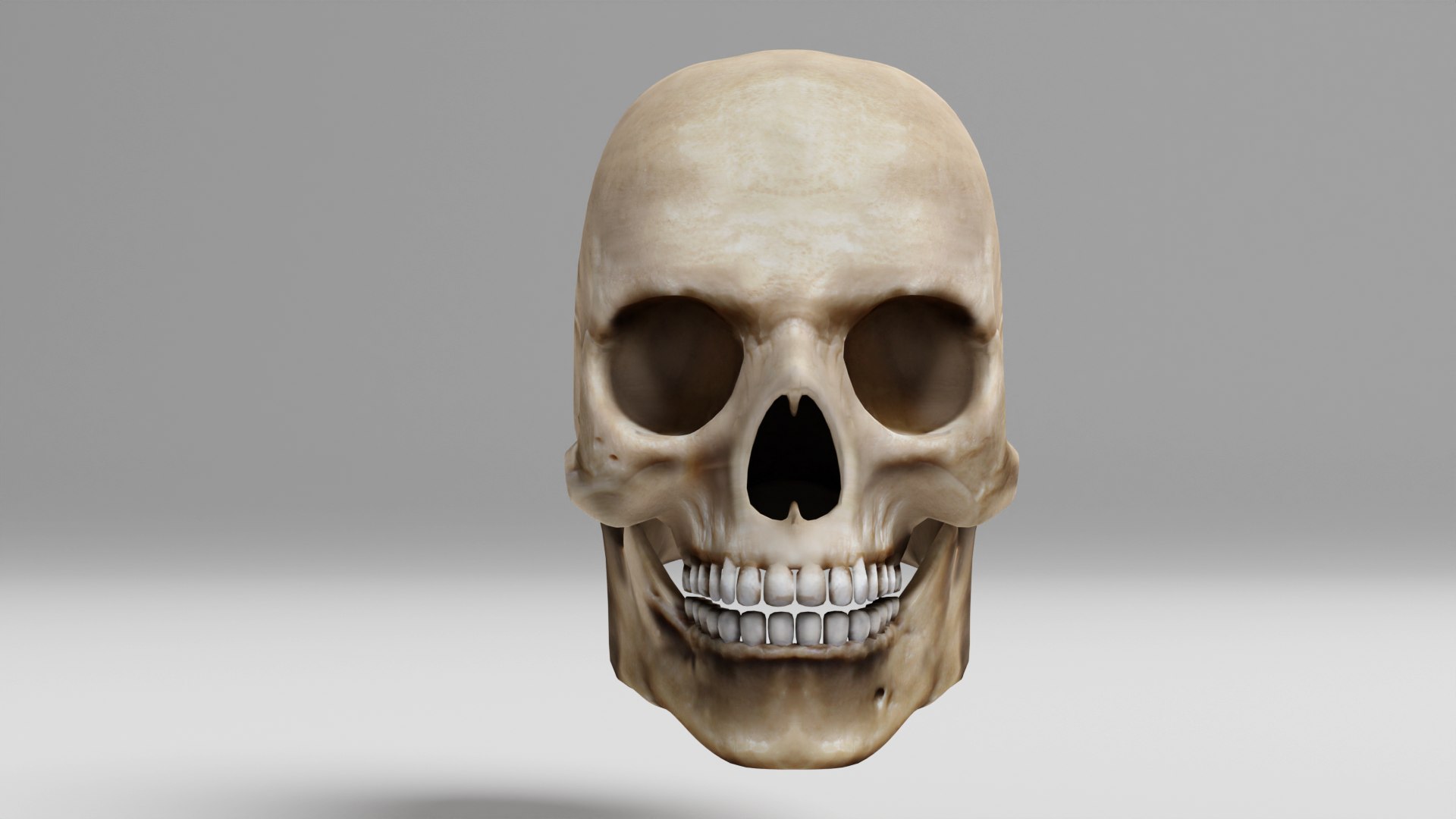 human skull obj https://p.turbosquid.com/ts-thumb/2r/kRqqWO/0Q/skull3b/png/1685501298/1920x1080/fit_q87/460de261c84fb4056cd9ade06871584a897b8dee/skull3b.jpg