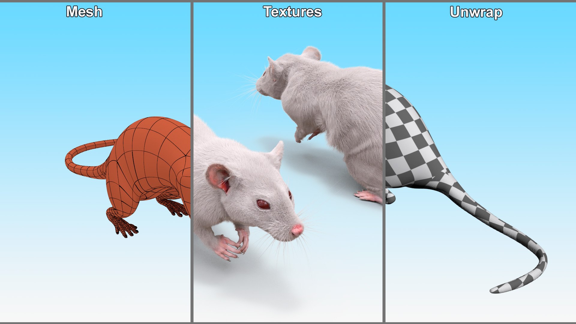 Common Rat With Fur Model - TurboSquid 2264697