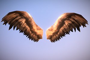 Low Poly Angel Wings (1.1)