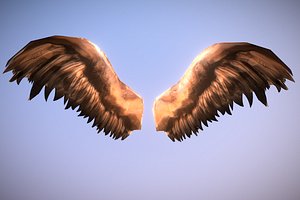 Low Poly Angel Wings (1.1)