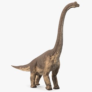 3D brachiosaurus walking pose