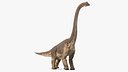 Brachiosaurus Walking Pose