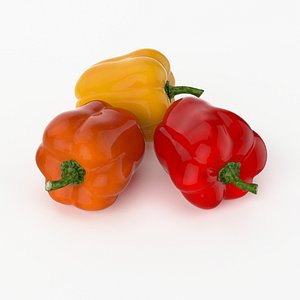3d model of realistic bulgarian pepper real