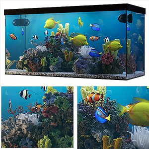 Seawater aquarium model