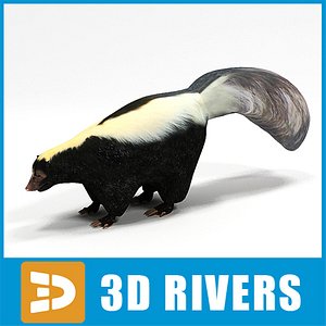 Skunk by 3DRivers