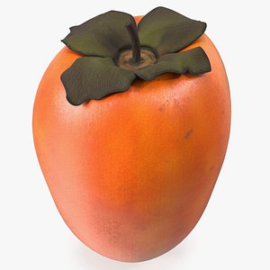 Hachiya Persimmon Fruit 3D model