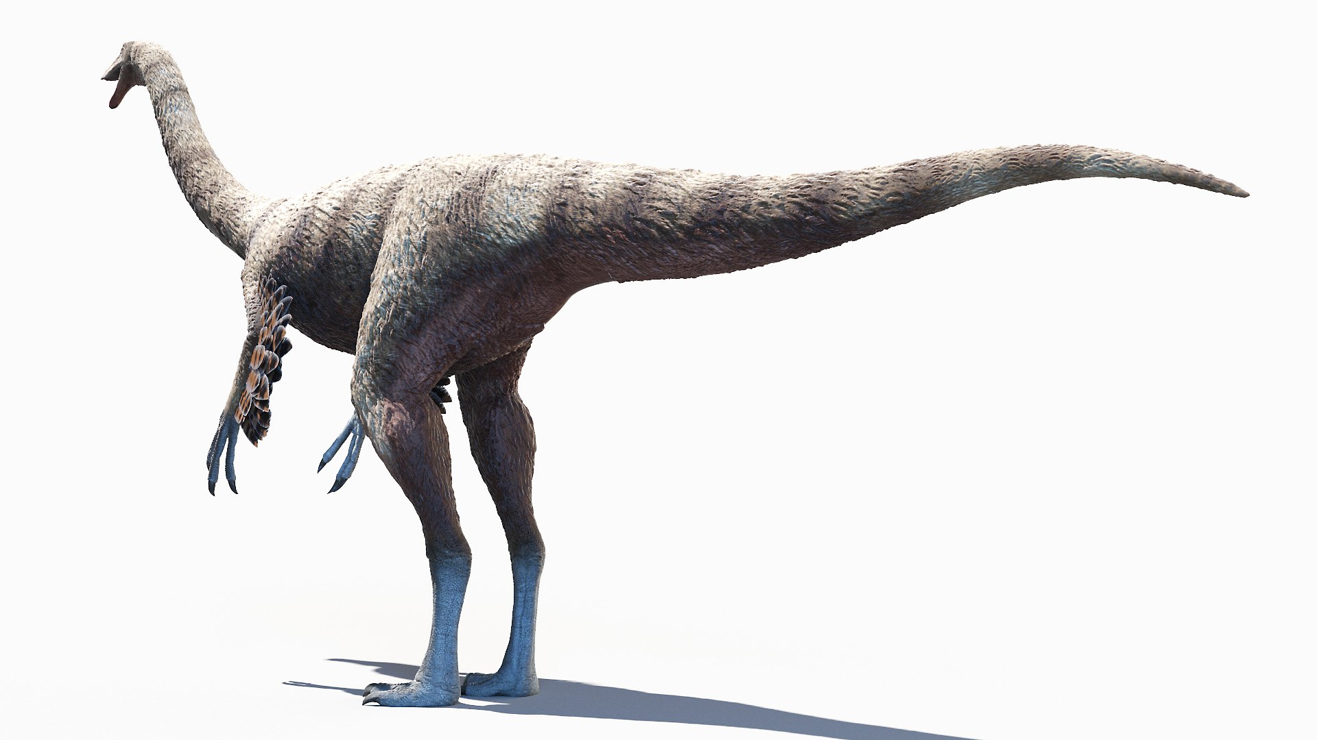 Ornithomimus 3D - TurboSquid 1687415