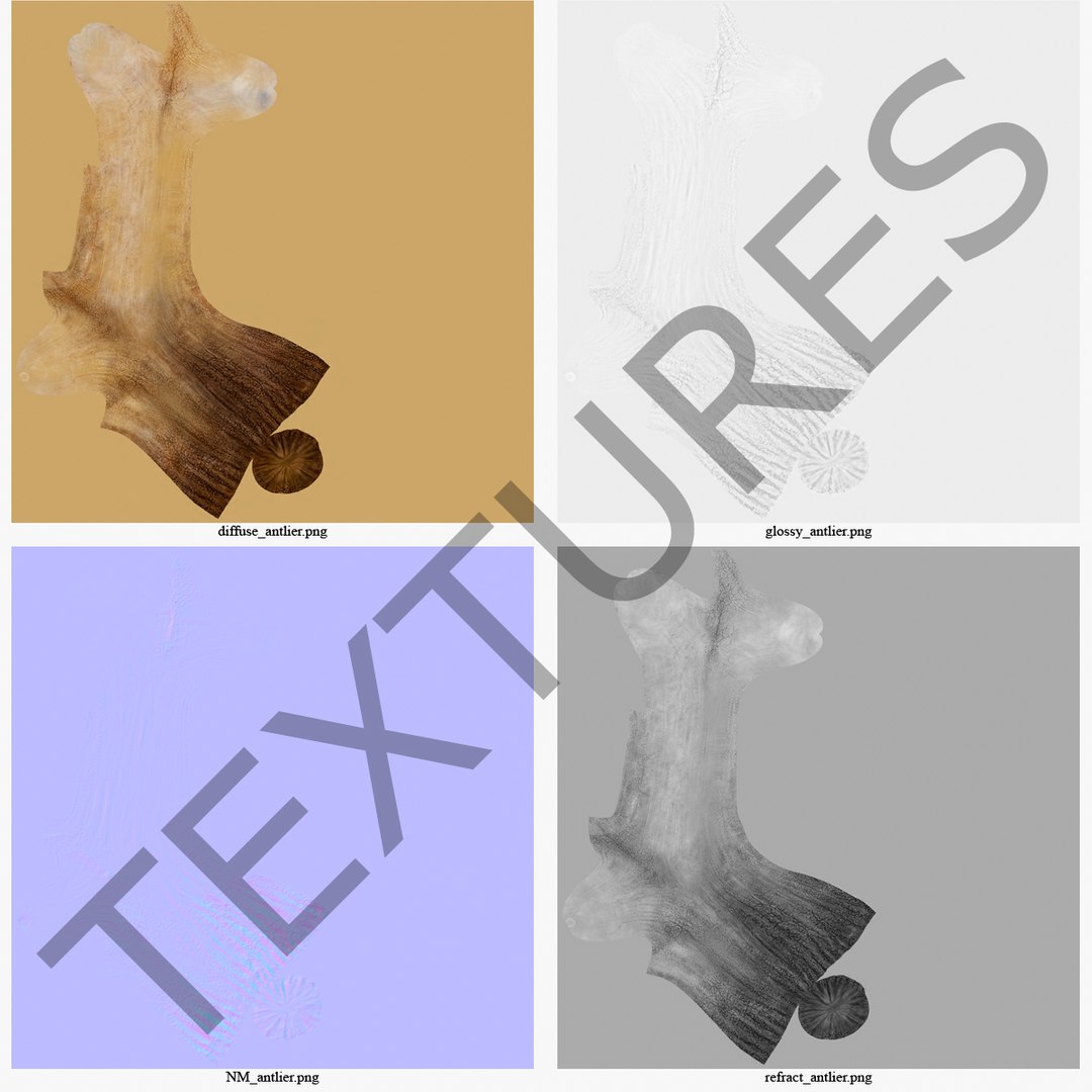 deer antler 3d x https://p.turbosquid.com/ts-thumb/2s/OJoMyp/1F268LGU/deerantler_4/jpg/1387297655/1920x1080/fit_q87/08ae9b47d051643d7ceb383273af4cbdc4691f7d/deerantler_4.jpg
