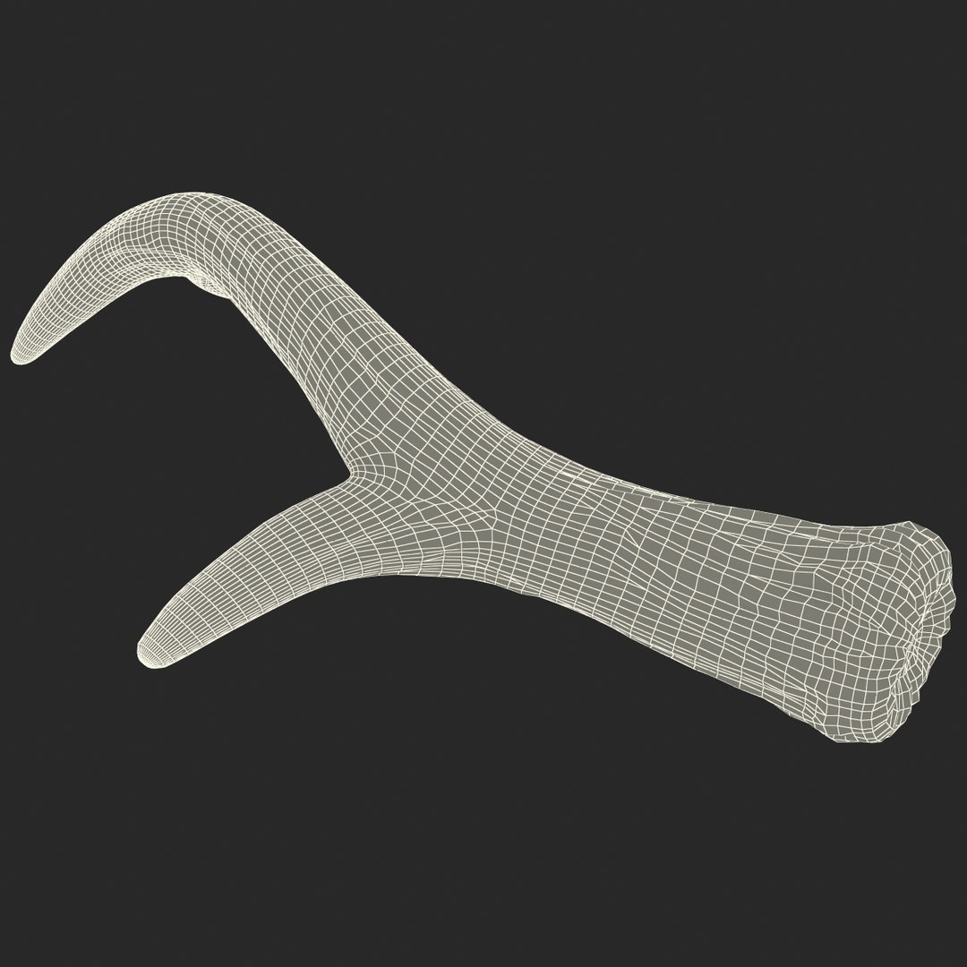 deer antler 3d x https://p.turbosquid.com/ts-thumb/2s/OJoMyp/3Wvj1P0W/deerantler_170/jpg/1387298182/1920x1080/fit_q87/c9b1a15722861103dec23522129b7e978c4a7292/deerantler_170.jpg