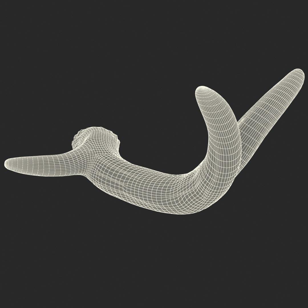 deer antler 3d x https://p.turbosquid.com/ts-thumb/2s/OJoMyp/DK24hg6b/deerantler_166/jpg/1387298160/1920x1080/fit_q87/449127c6c2ac8d36a3ba2d4b0fbf5ff5ccb2b65a/deerantler_166.jpg