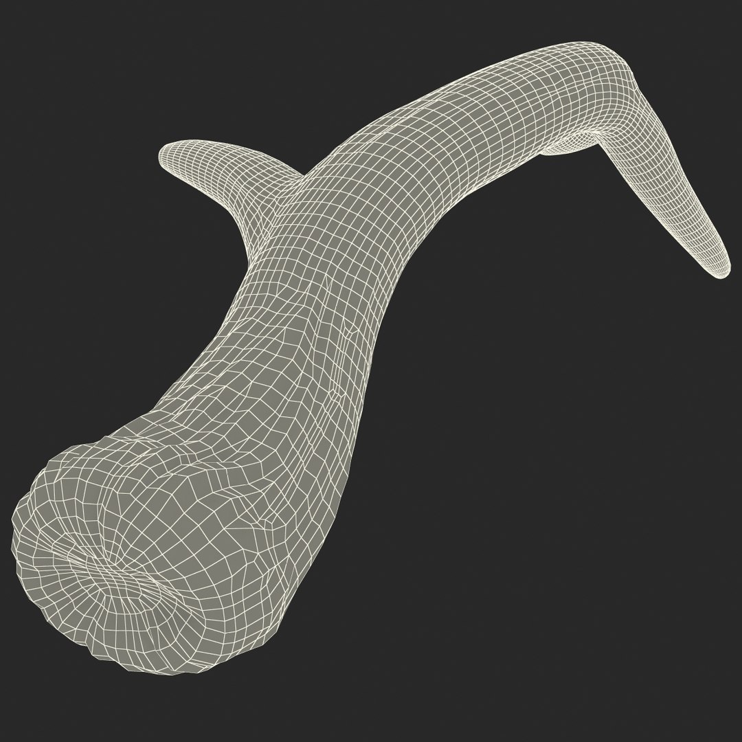 deer antler 3d x https://p.turbosquid.com/ts-thumb/2s/OJoMyp/Kyi9ngVd/deerantler_169/jpg/1387298179/1920x1080/fit_q87/cbfc7e2adf3bc9707a8b7e086206500908dc99c3/deerantler_169.jpg