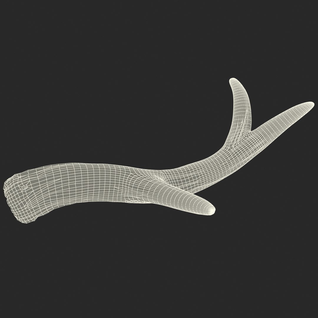 deer antler 3d x https://p.turbosquid.com/ts-thumb/2s/OJoMyp/RCHfjidK/deerantler_165/jpg/1387298156/1920x1080/fit_q87/b7d61894382fd4b10d316c2f0d68b44ed522f6a9/deerantler_165.jpg