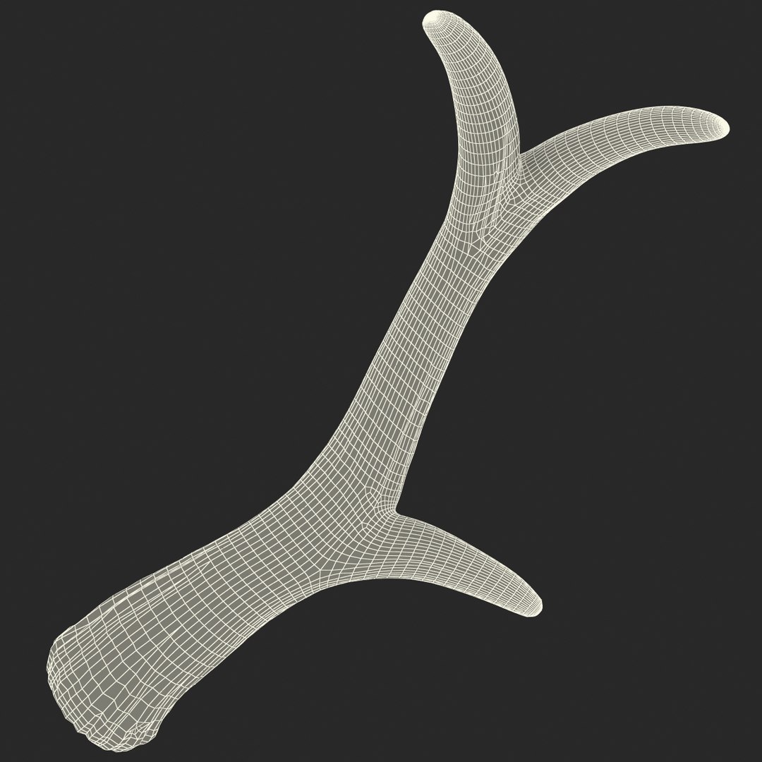 deer antler 3d x https://p.turbosquid.com/ts-thumb/2s/OJoMyp/Tmpt7T66/deerantler_167/jpg/1387298162/1920x1080/fit_q87/3f3607947ebce7f46ed932379e65204e89f7b0ad/deerantler_167.jpg