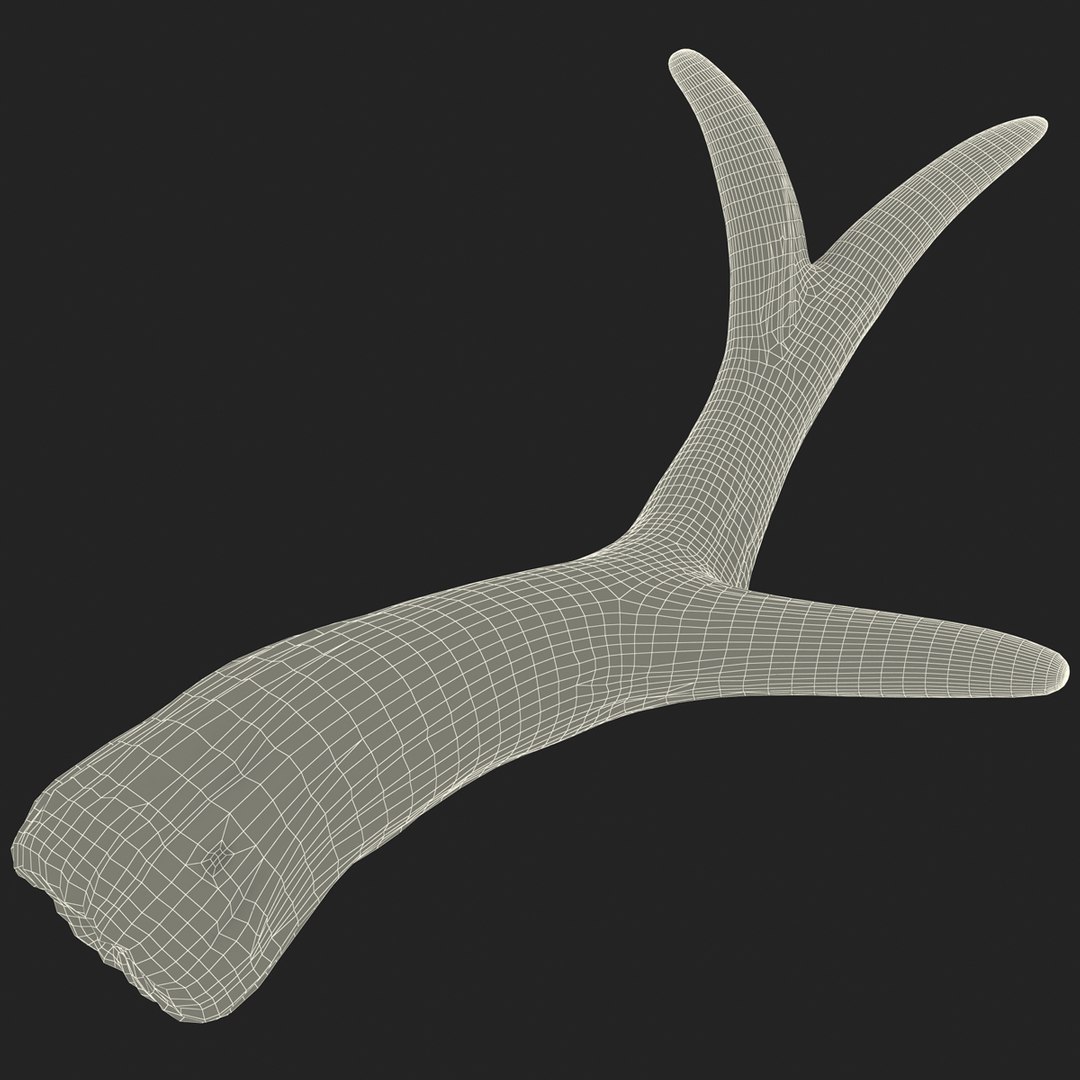 deer antler 3d x https://p.turbosquid.com/ts-thumb/2s/OJoMyp/jUxb4pIA/deerantler_164/jpg/1387298164/1920x1080/fit_q87/343e9ccb2232b4aa59d8a630f40323579ac00e69/deerantler_164.jpg
