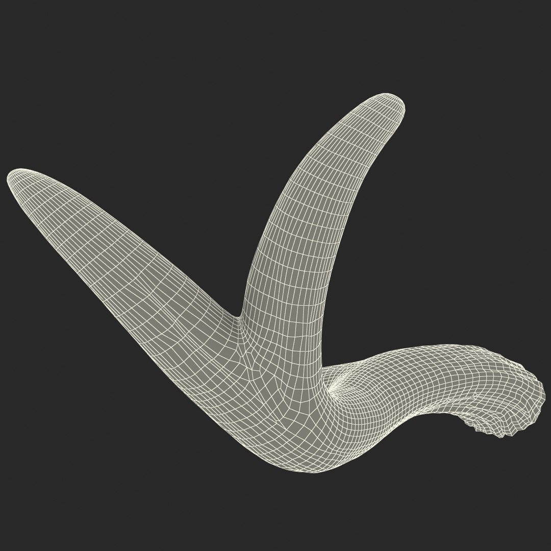 deer antler 3d x https://p.turbosquid.com/ts-thumb/2s/OJoMyp/s2w35ujX/deerantler_172/jpg/1387298190/1920x1080/fit_q87/65f1332ee1aa8583db0f9d7b182c67f5344363eb/deerantler_172.jpg