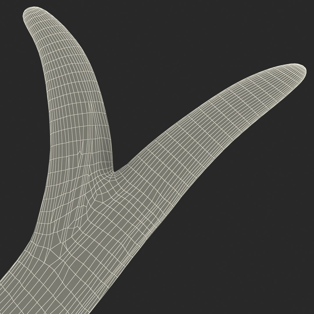 deer antler 3d x https://p.turbosquid.com/ts-thumb/2s/OJoMyp/tJIvQETz/deerantler_173/jpg/1387298185/1920x1080/fit_q87/15f5d4b394e3b35812030442657253159ea6fe8c/deerantler_173.jpg