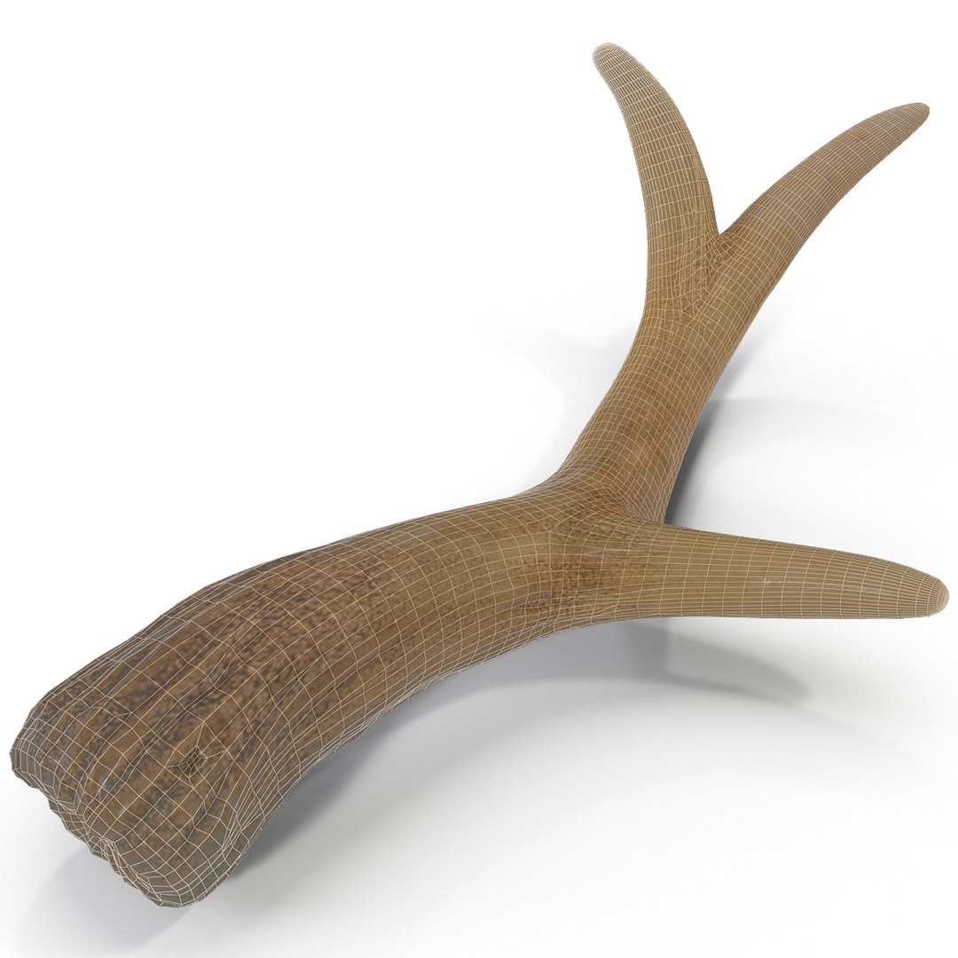 deer antler 3d x https://p.turbosquid.com/ts-thumb/2s/OJoMyp/vxdNSb41/deerantler_5/jpg/1387297658/1920x1080/fit_q87/13dab984902dc8ad3287f3c8064166ff9b3c18ae/deerantler_5.jpg