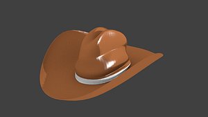 3d cowboy hat