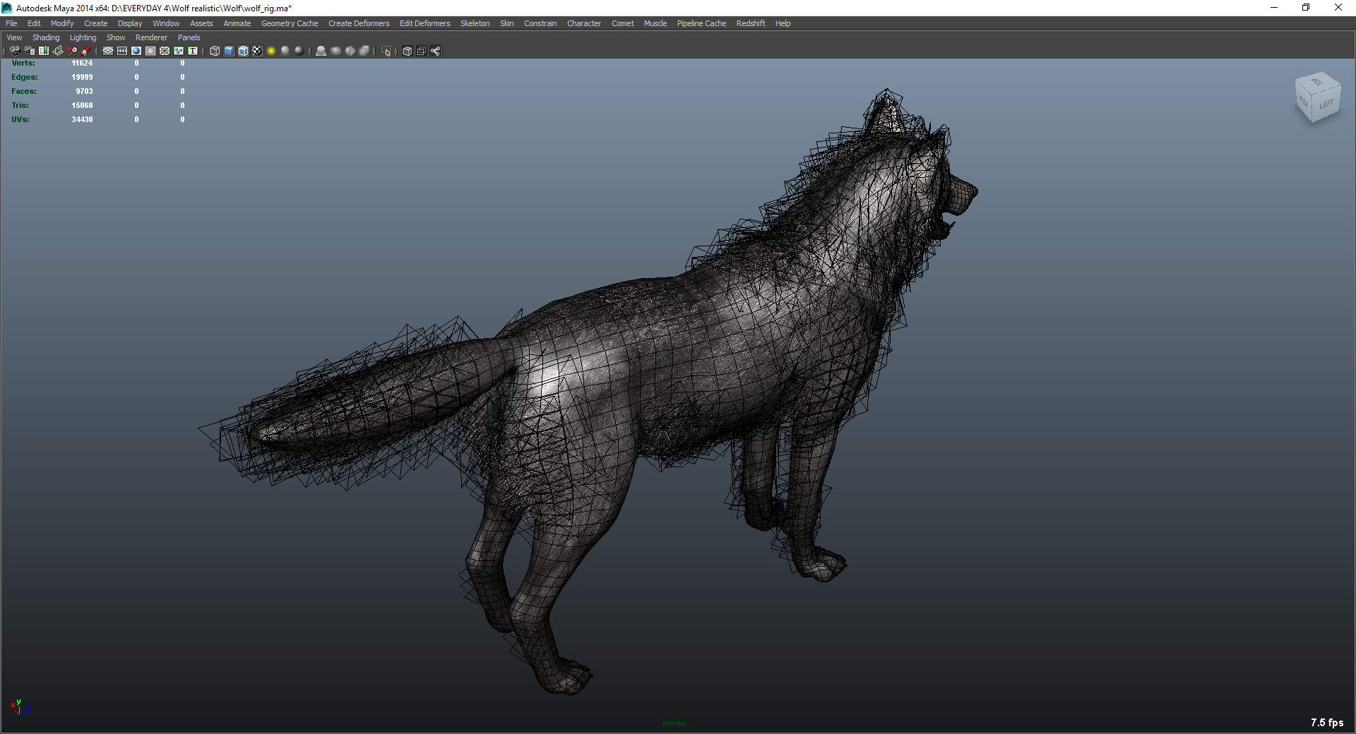 Free 3D grey wolf rig - TurboSquid 1390070