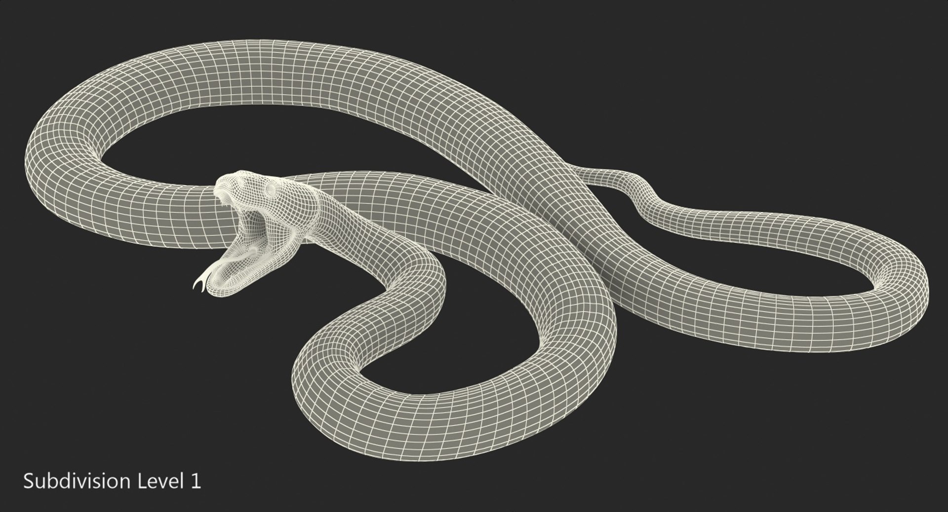 green python snake attack 3D model https://p.turbosquid.com/ts-thumb/2s/ky5Wh7/EXDijgSI/greenpythonsnakeattackpose3dsmodel016/jpg/1558816899/1920x1080/fit_q87/e55335ca41ef8fed5393a250d2cb081d1431833e/greenpythonsnakeattackpose3dsmodel016.jpg