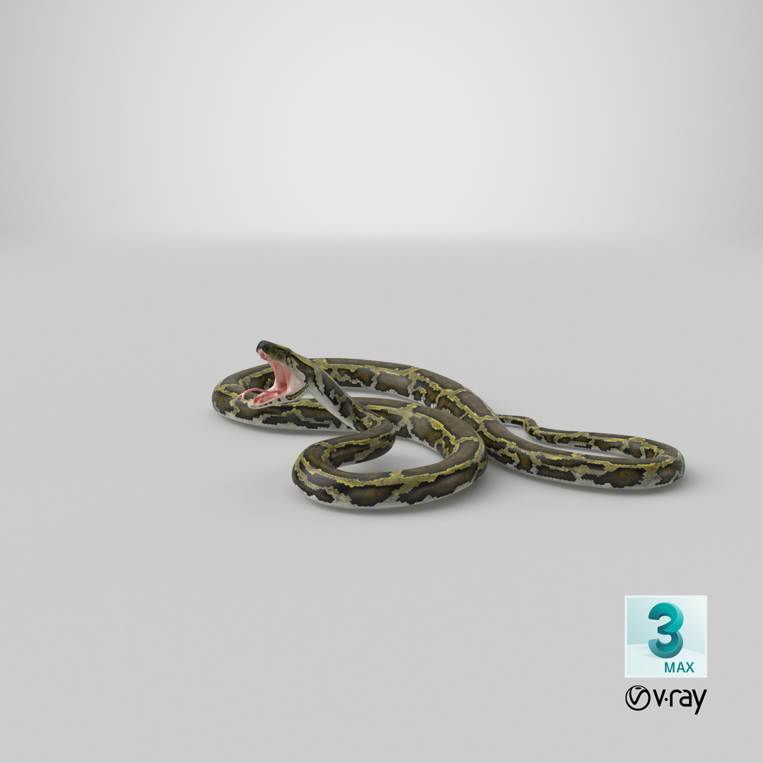 Green python snake attack 3D model - TurboSquid 1410562