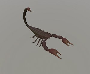 Scorpion