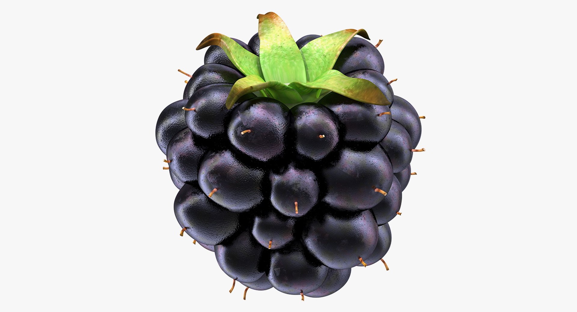 Blackberry 3D model preview