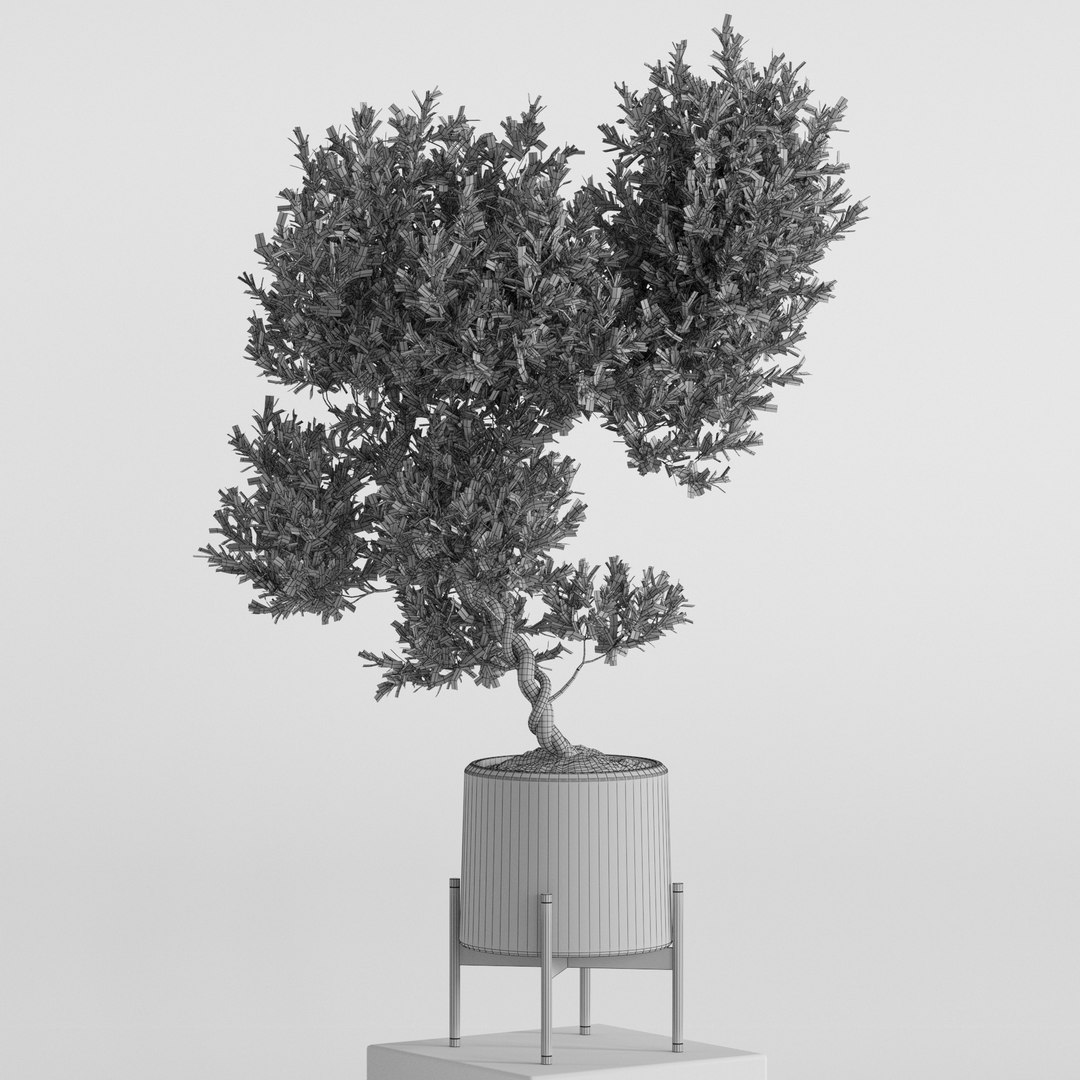 3D Plants collection 737 https://p.turbosquid.com/ts-thumb/2s/vTOcQS/Il/plant_737_04.rgb_colorcopy/jpg/1656670437/1920x1080/fit_q87/6e8d65912a3a50480677bbede54ad52635c4667c/plant_737_04.rgb_colorcopy.jpg