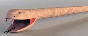 Cartoony Rattle Snake