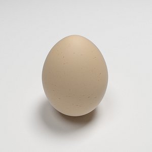 egg food 3D