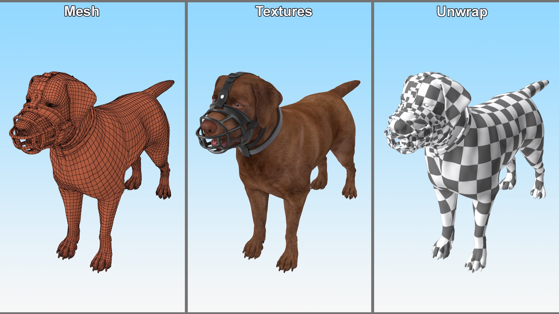 Brown Labrador Wearing Muzzle 3D Model - TurboSquid 2284100