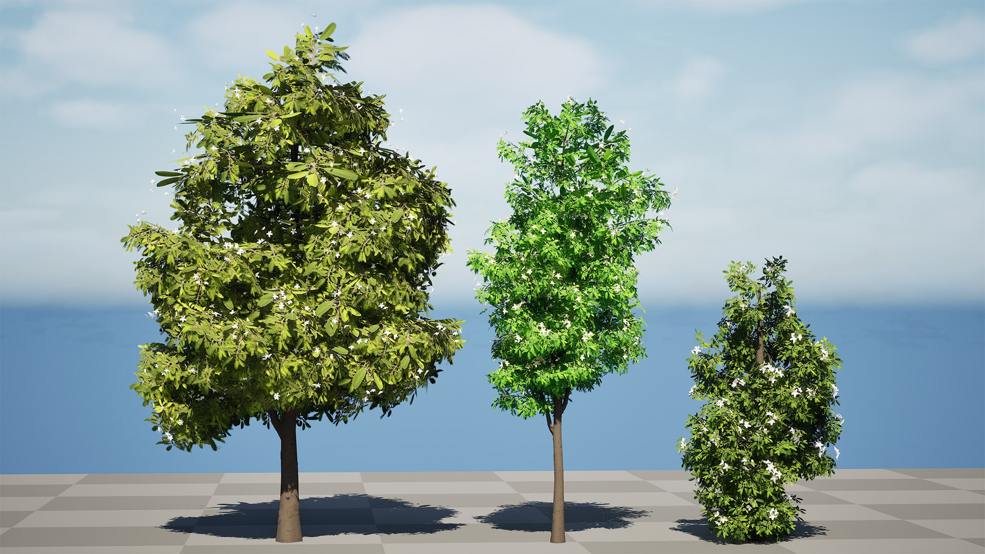 High-Detail Lemon Myrtle Tree 3D Asset 3D model https://p.turbosquid.com/ts-thumb/2t/DpMYf5/KQ/highresscreenshot00001/jpg/1739735107/1920x1080/fit_q87/dfa5f35da71a80d91f8cc895da475259cd86bb7f/highresscreenshot00001.jpg