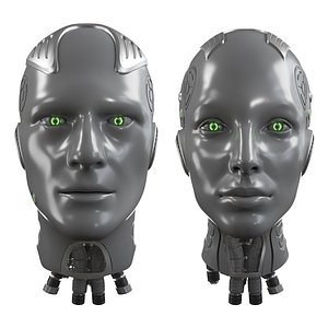 3D Female and Male Robot Heads Grey