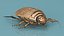 3D model Insect Water Beetle Beige Rigged