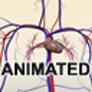 Blood circulation system with animated heart