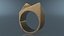 Parametric Jewelry Ring Brushed Gold 3D model