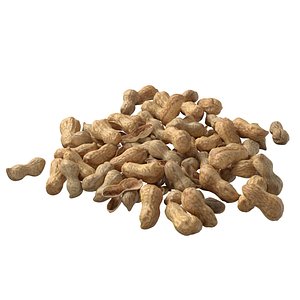 Peanut whole pile 3D model