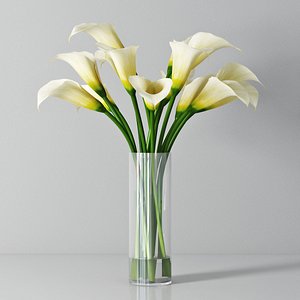 3d white calla lilies model
