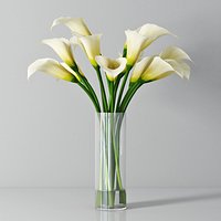 Calla lily 01