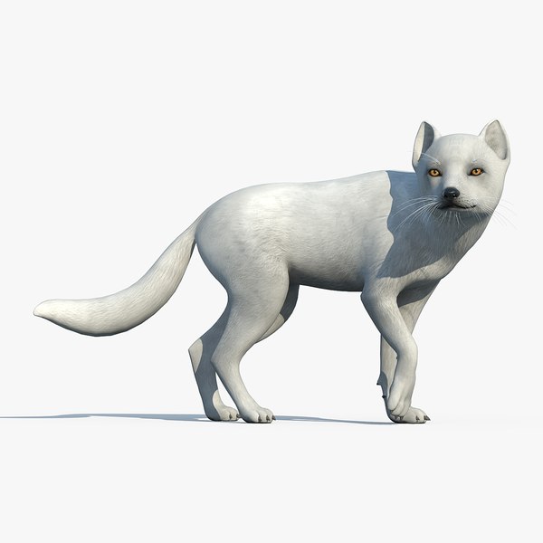 3d arctic fox fur model