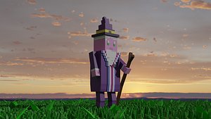 3D Wizard model