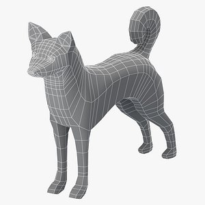 Canaan Dog Base Mesh