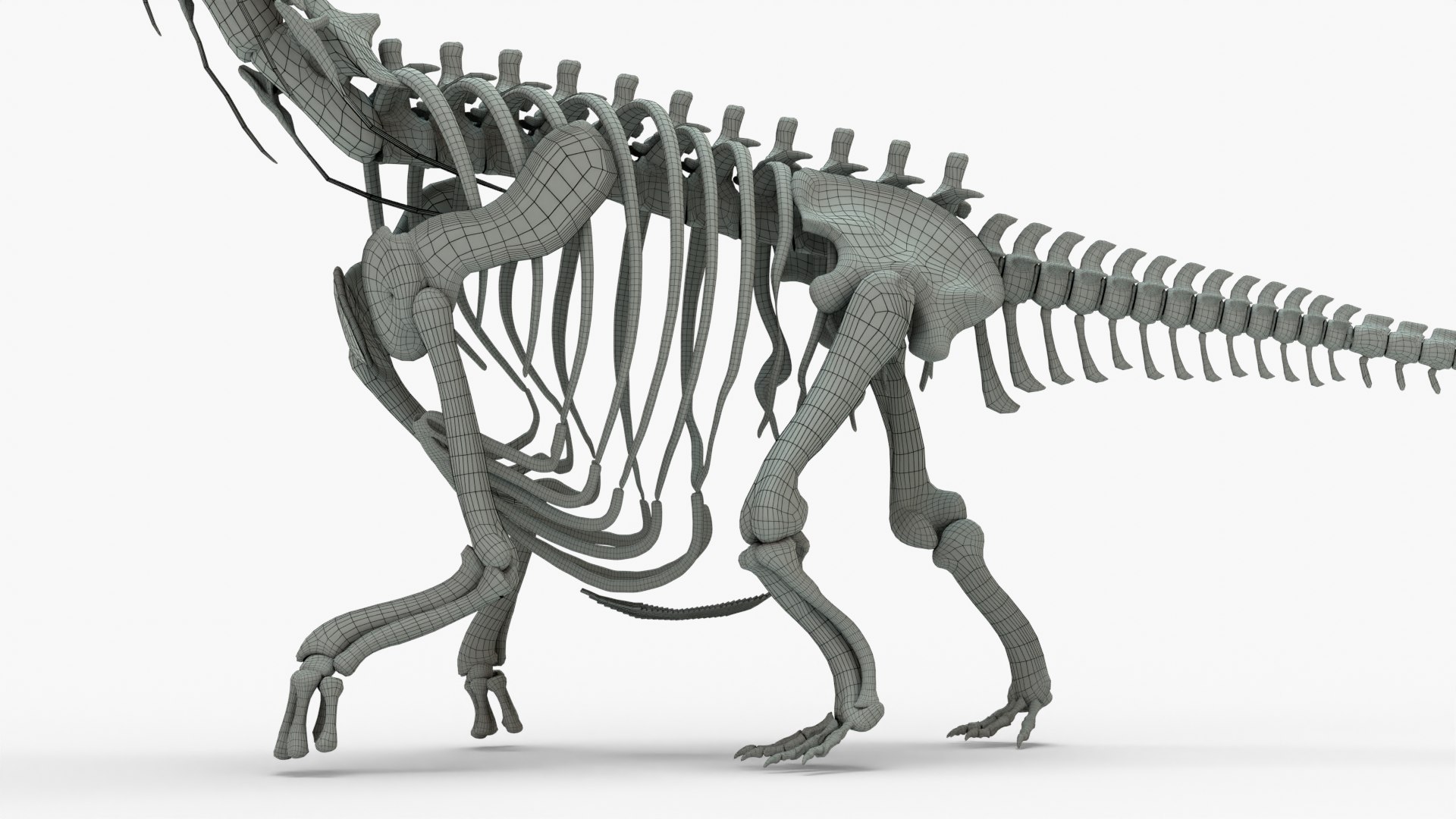 Argentinosaurus Rigged Skeleton 3D model - TurboSquid 2131869