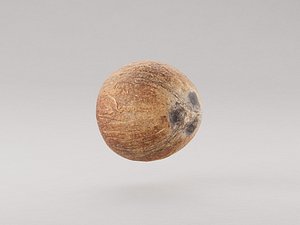 Coconut