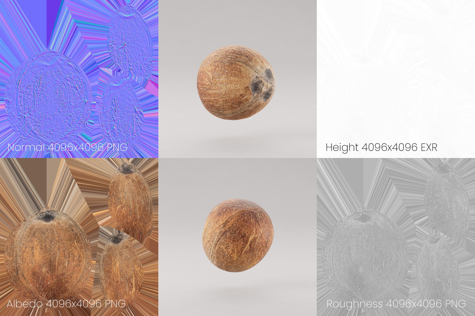 3D model Coconut https://p.turbosquid.com/ts-thumb/2u/AlFPxa/ai/preview_coconut_texture/jpg/1741367027/1920x1080/fit_q87/da2970943b7fe153bc9fdd95a09528a75caada90/preview_coconut_texture.jpg