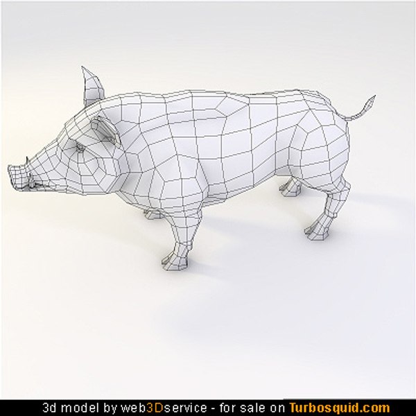 wild_boar2118_00000.jpg