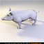 dziki Dzik 3d model 2118 trójkąty