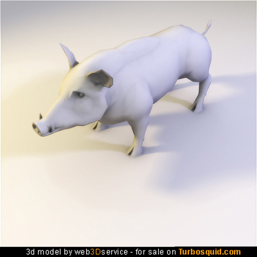 3d polygonal wild boar 2118 https://p.turbosquid.com/ts-thumb/2u/IXJ7hi/WhqUZIHj/wild_boar2118_00012/jpg/1224848258/1920x1080/fit_q87/850b3620982602ec587f4b4fe9260636aa069adb/wild_boar2118_00012.jpg